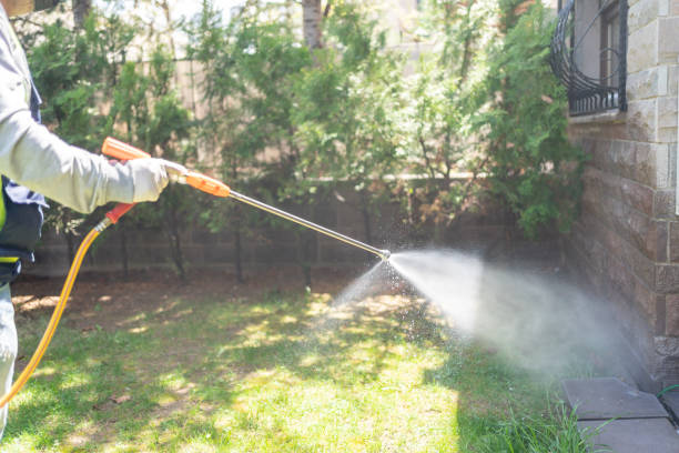 Best Best Pest Control Companies  in Huntland, TN